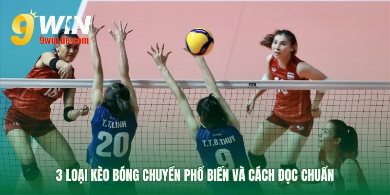 Nền tảng các loại kèo bóng chuyền