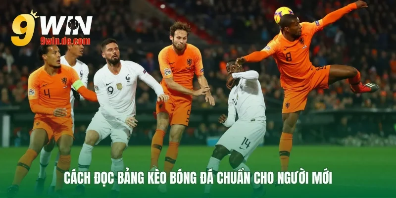 Hướng dẫn cách hiểu các con số trên bảng cược