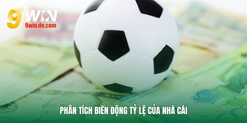 Hiểu rõ biến động odds của nhà cái